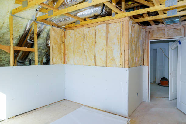 Best Spray Foam Insulation  in Forsyth, MO