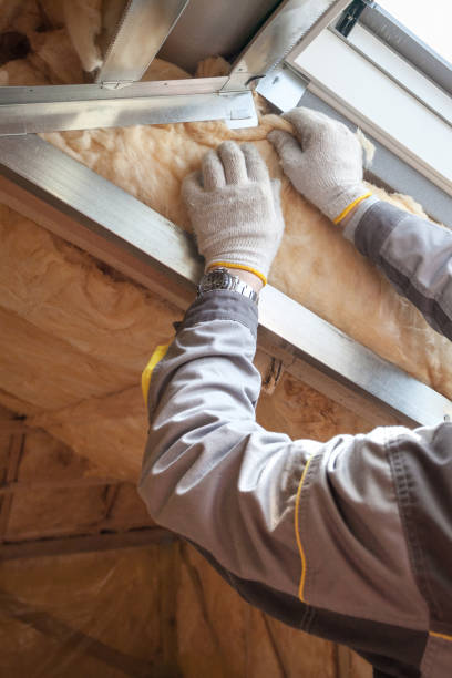 Best Insulation Inspection Services  in Forsyth, MO