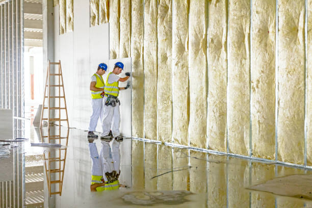 Best Attic Insulation Near Me  in Forsyth, MO